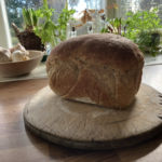 Breadmaking workshop: make a yeasted tin loaf